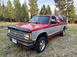 1992 Chevrolet S-10 LS Maxi-Cab 4×4