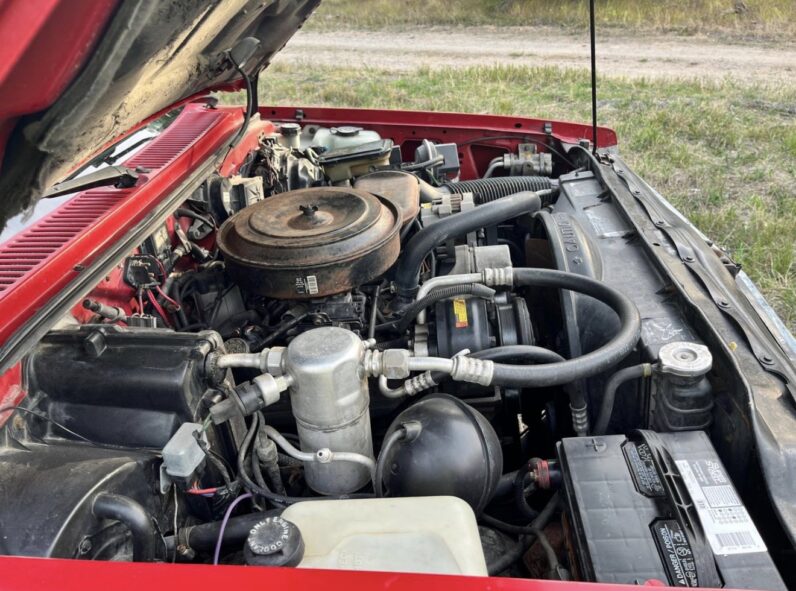 1992 Chevrolet S-10 LS Maxi-Cab 4×4
